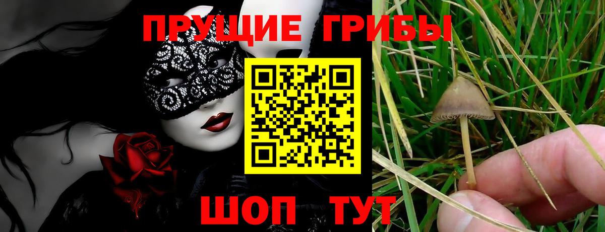 Псилоцибиновые грибы ЛСД  продажа наркотиков  Ликино-Дулёво  Вход с VPN 